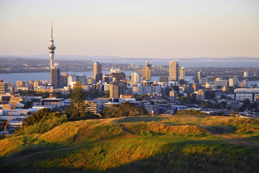 Weed in Auckland