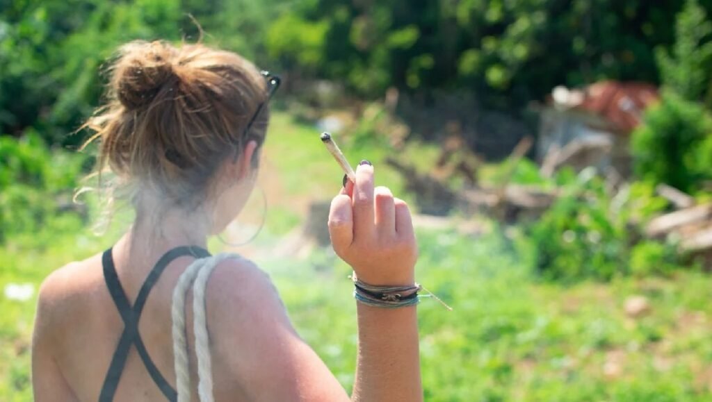 Weed, hemp or cannabis in Santorini, Greece