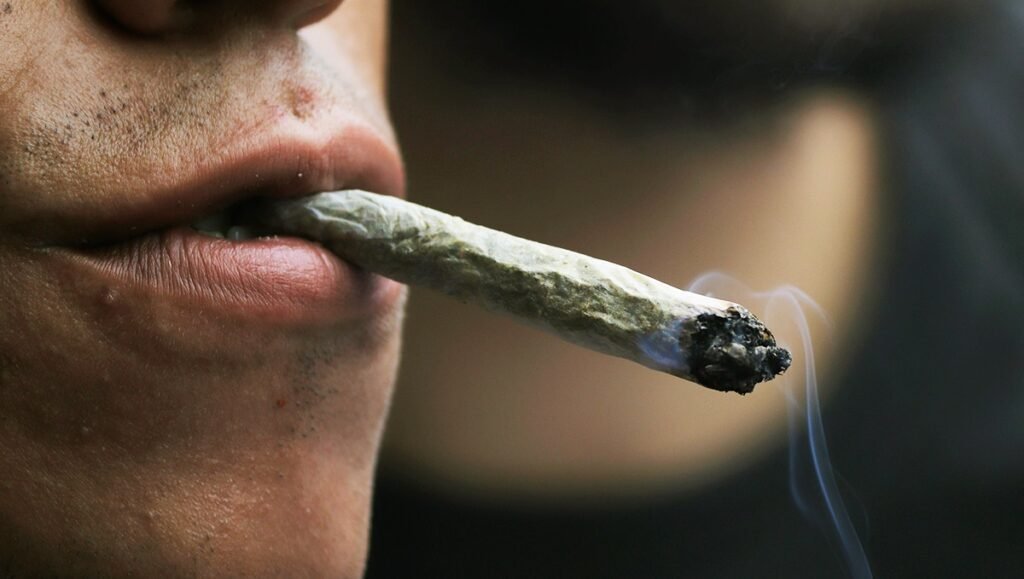 Weed, Cannabis or Marijuana in Genoa, Italy