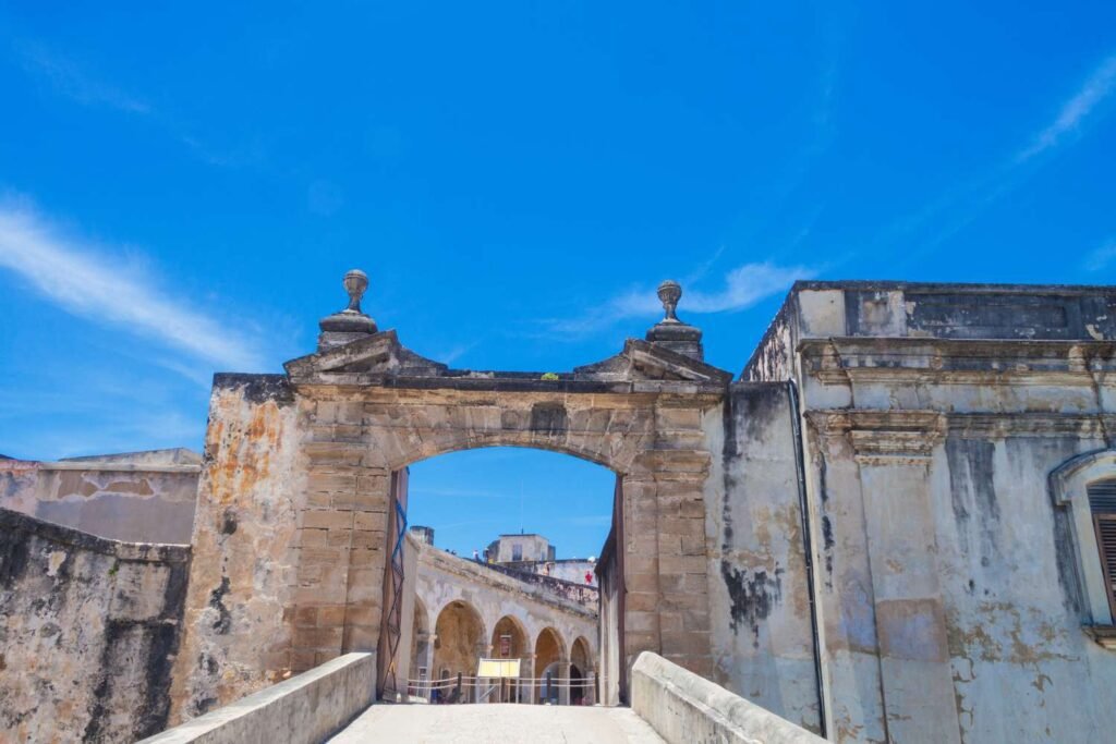 Weed in Fort San Cristobal, Puerto Rico