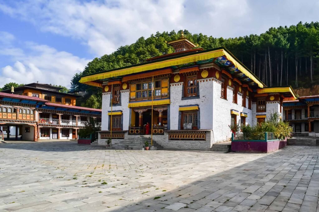 Weed in Phuentsholing, Bhutan