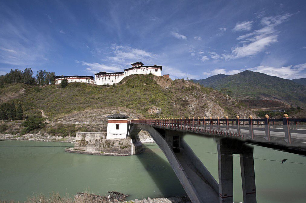 Weed in Wangdue Phodrang Dzong Bhutan