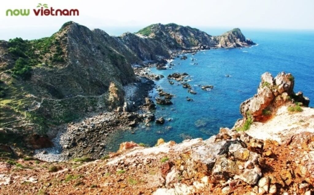 Weed in Quy Nhon, Vietnam