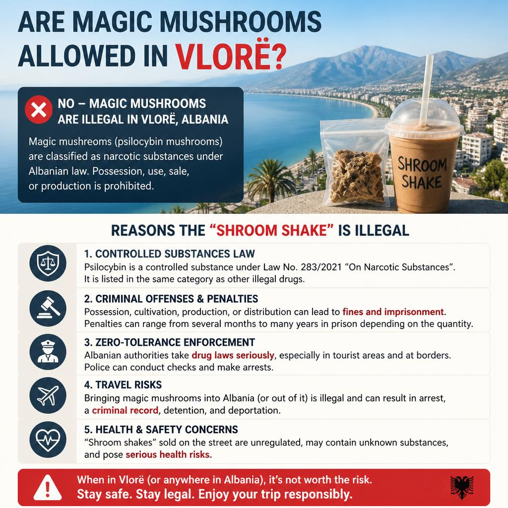 Are Magic Mushrooms Allowed in Vlorë? Reasons the “Shroom Shake” Is Illegal